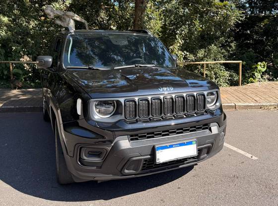 JEEP RENEGADE 1.3 T270 TURBO FLEX AT6 JEEP RENEGADE 1.3 T270 TURBO FLEX AT6